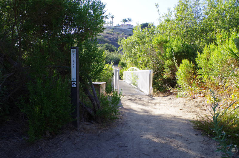 bobcat trail